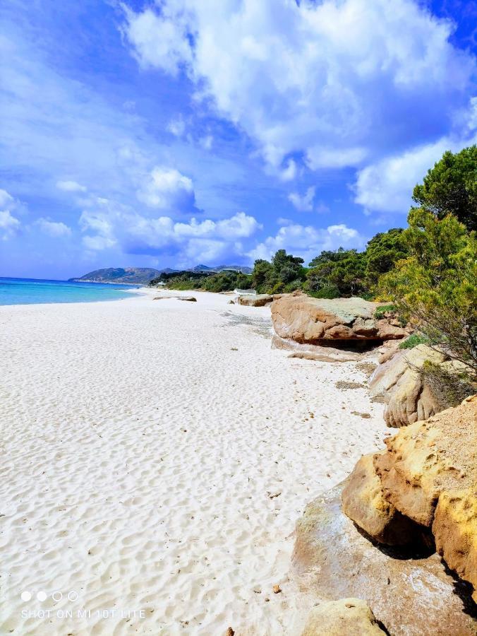 Oleandri Calaverde Sardegna Iun P1641 Pula Exterior foto